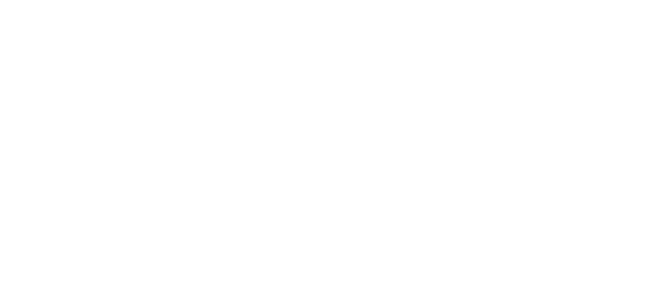 logo NoviBet